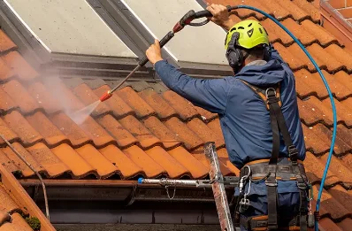 Démoussage et hydrofuge de toiture à Bornay